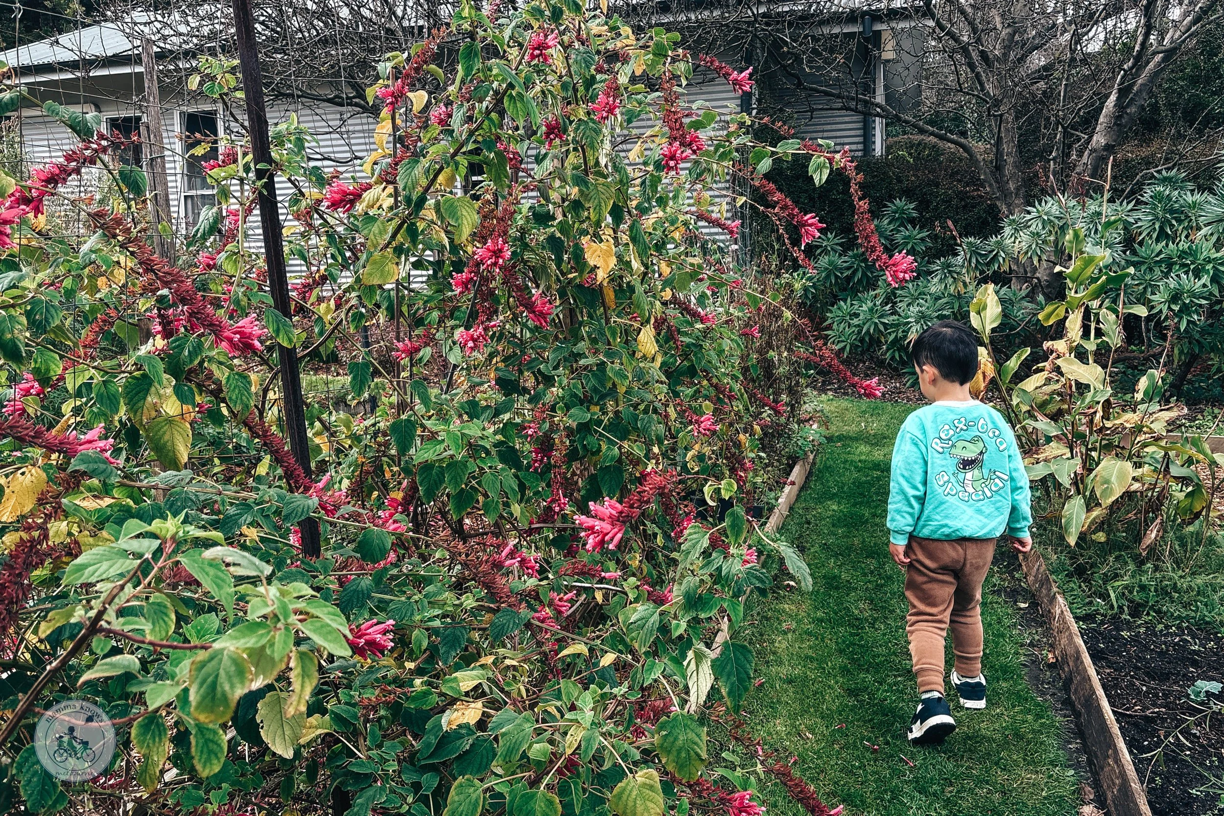 Copyright Mamma Knows East - Cornerstone @ Como House &amp; Garden, South Yarra