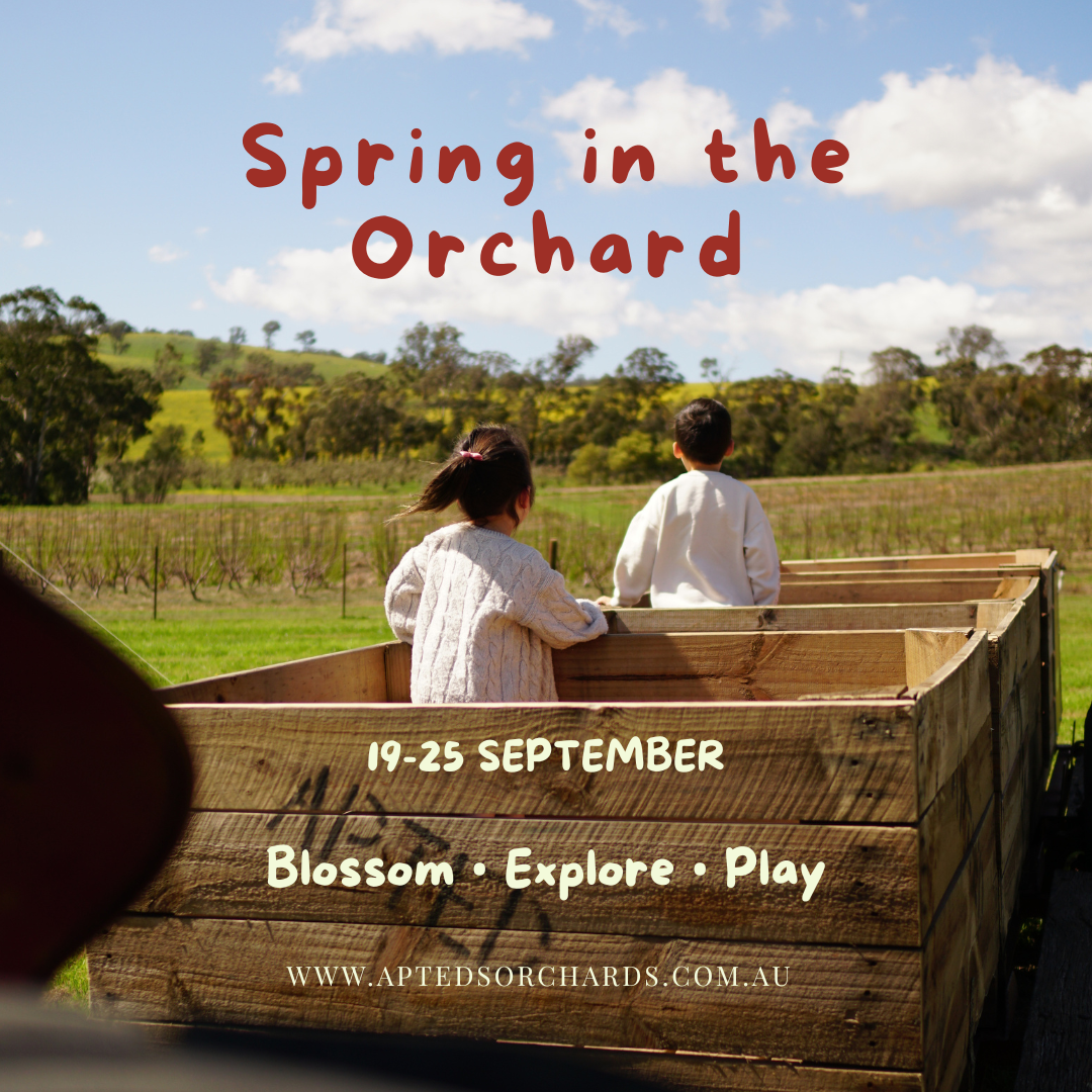 Apteds Orchards - Spring In The Orchard