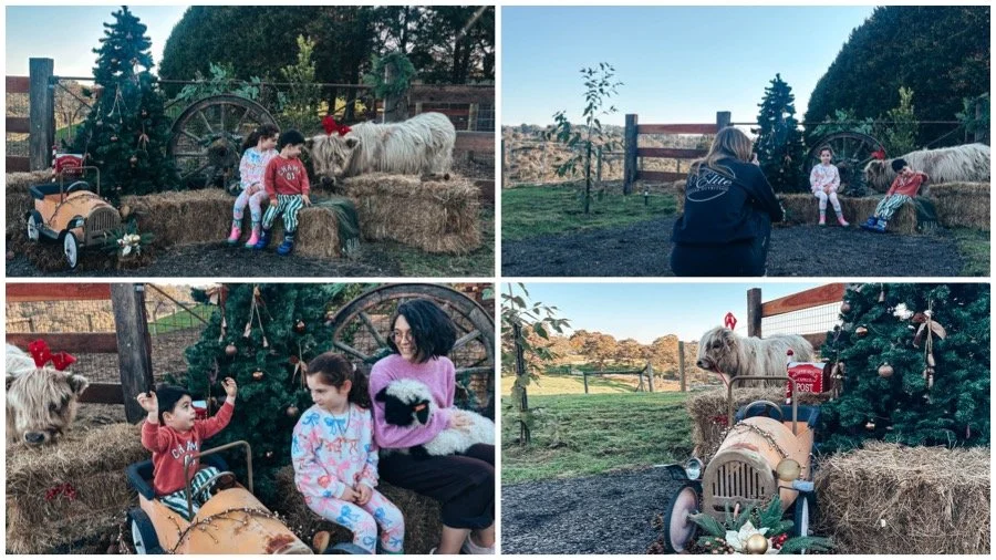 christmas @ highland hideaway, wonga park