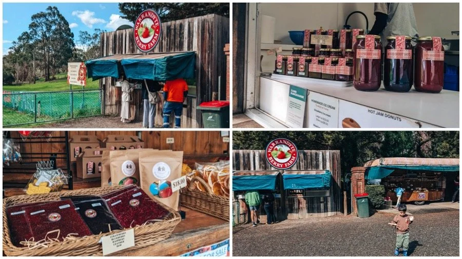 warrandyte berry farm, warrandyte