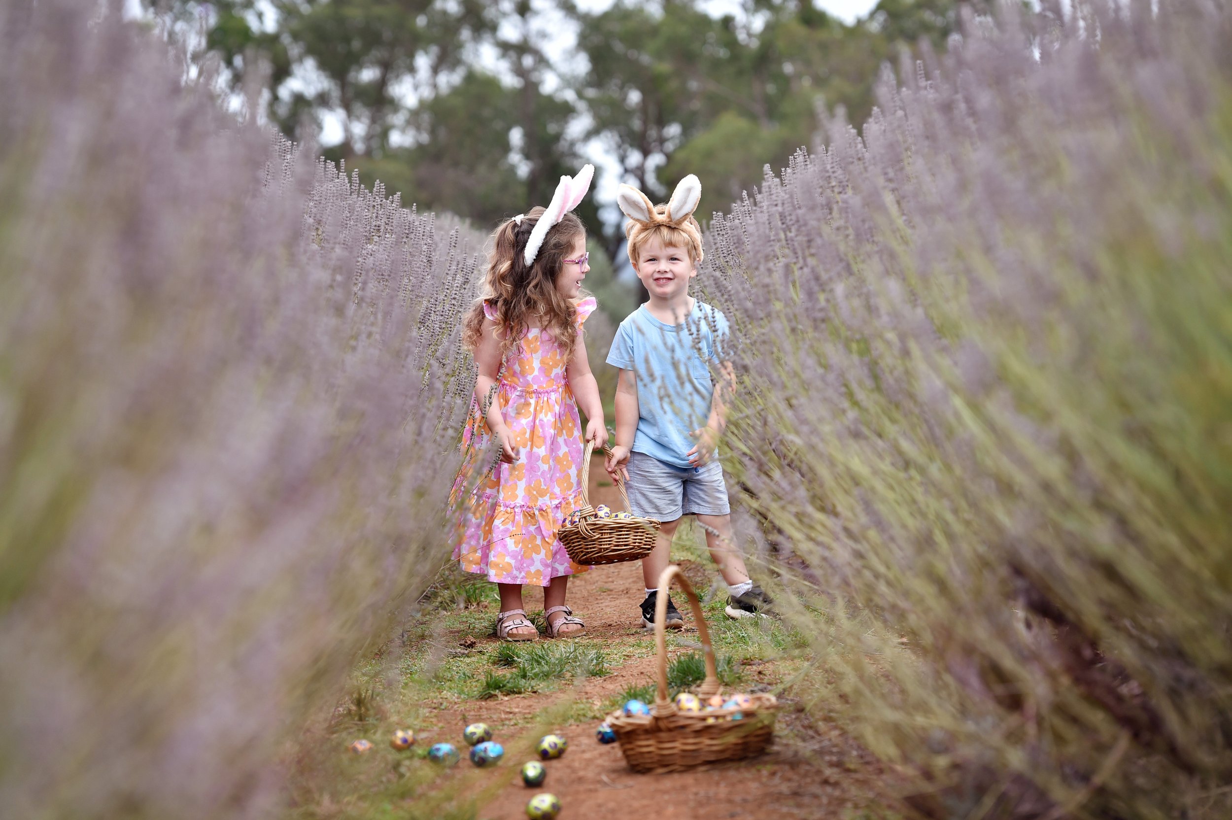 Easter Bunny Hunt @ Warratina 