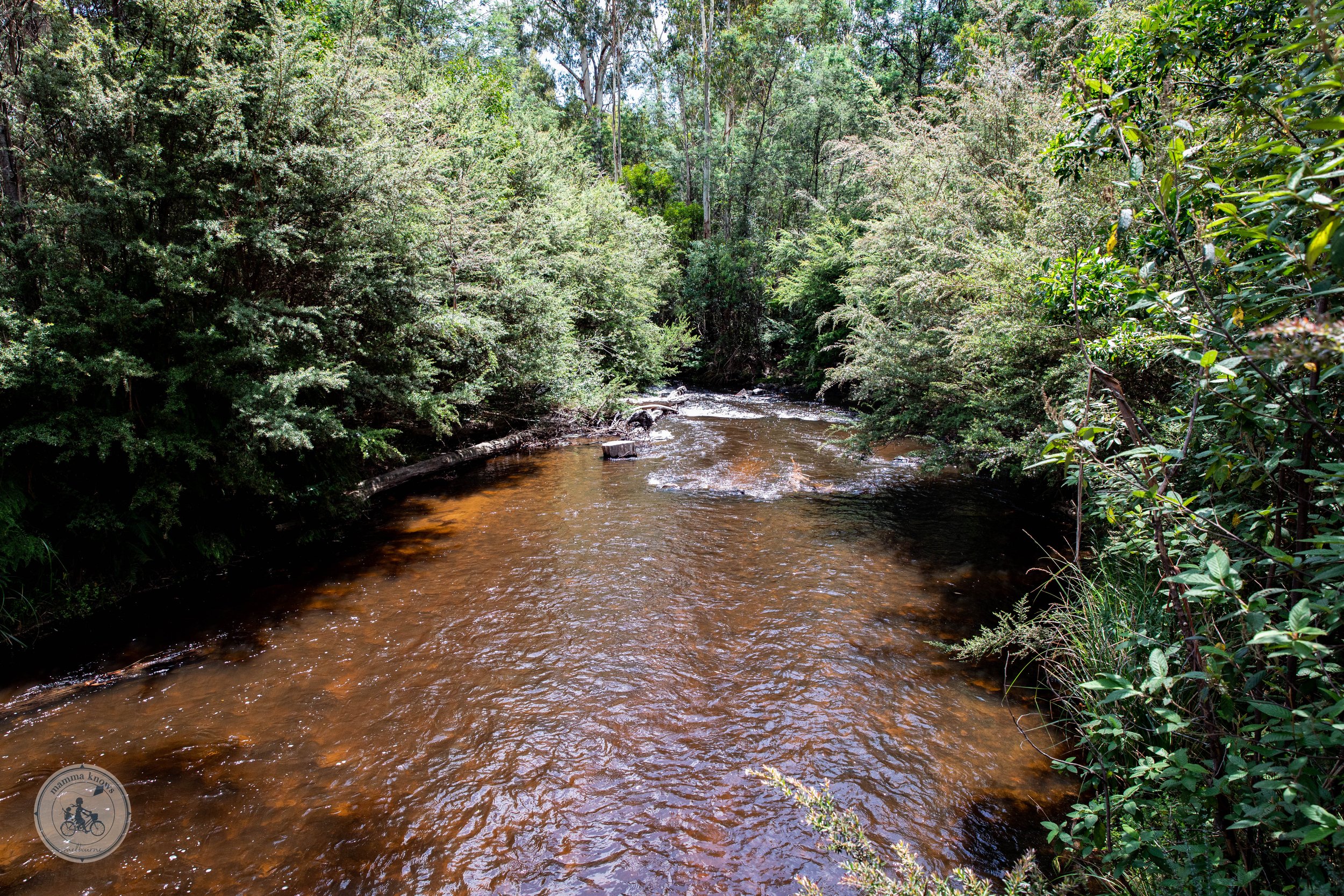 Murrindindi Scenic Reserve, Murrindindi