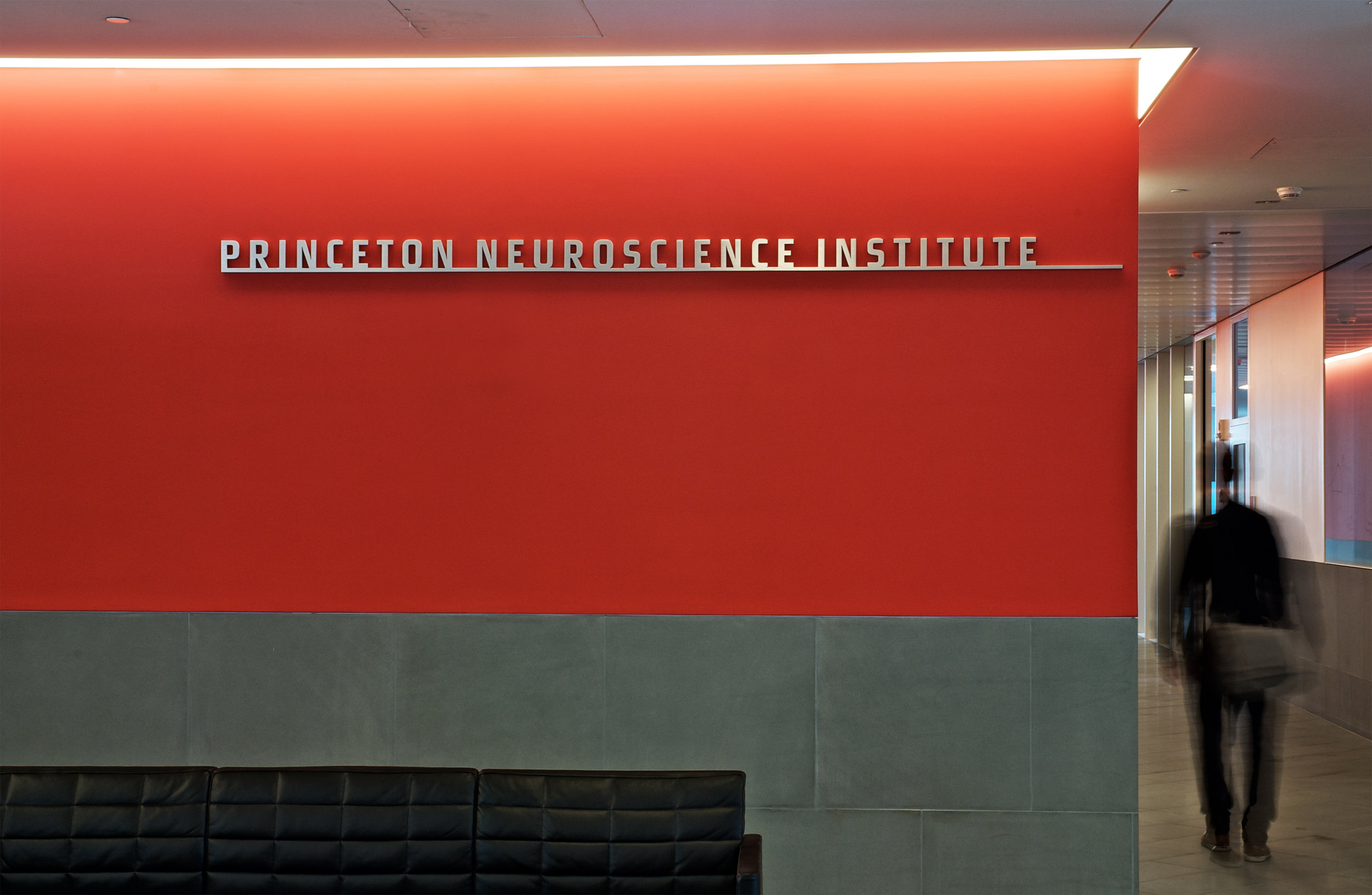 Princeton Neuroscience Institute Identification.jpg