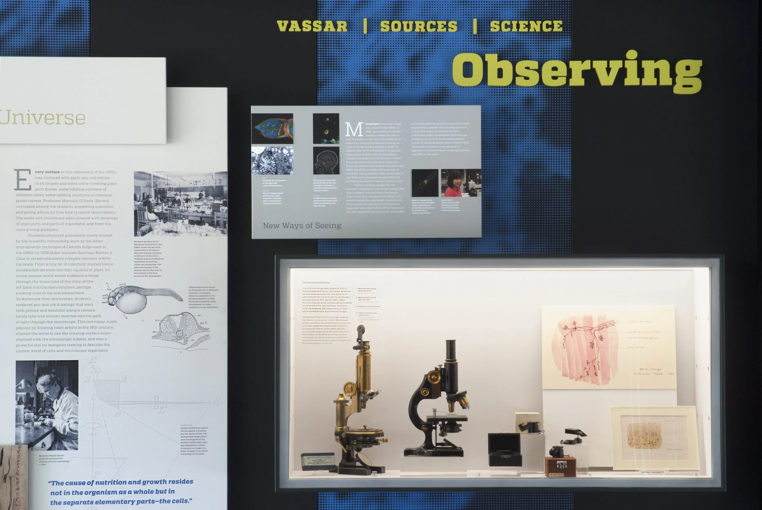 Observing_DSC_0071_P.jpg