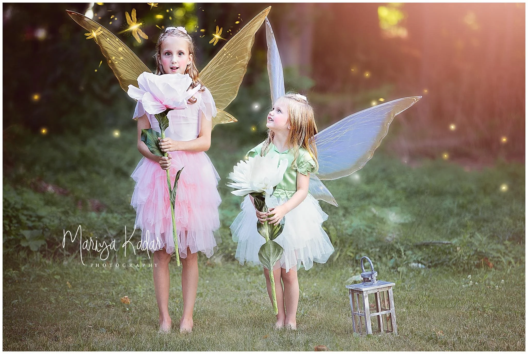 fairy-photography1.jpg