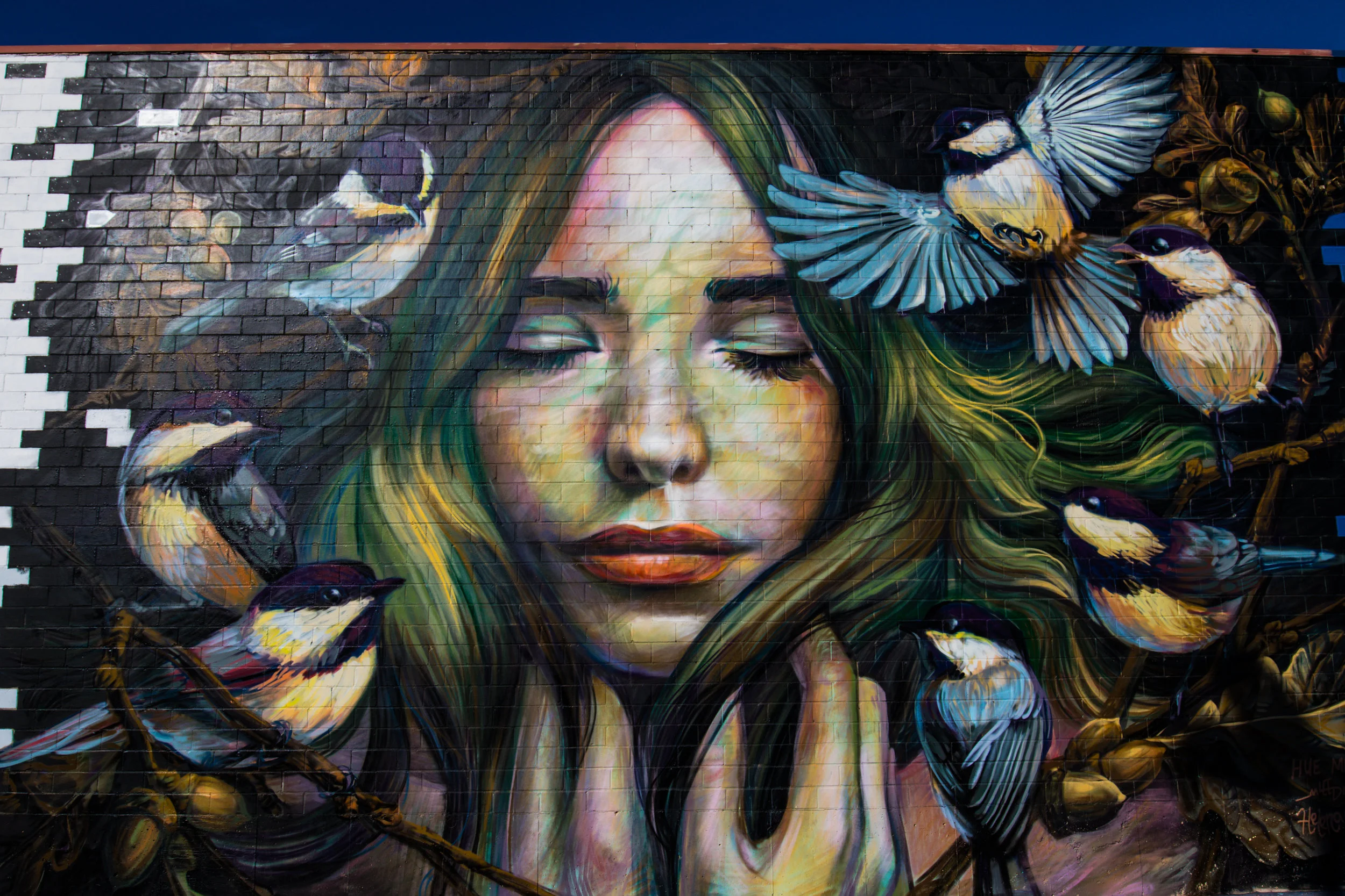 MuralFestk2k17-6.jpg