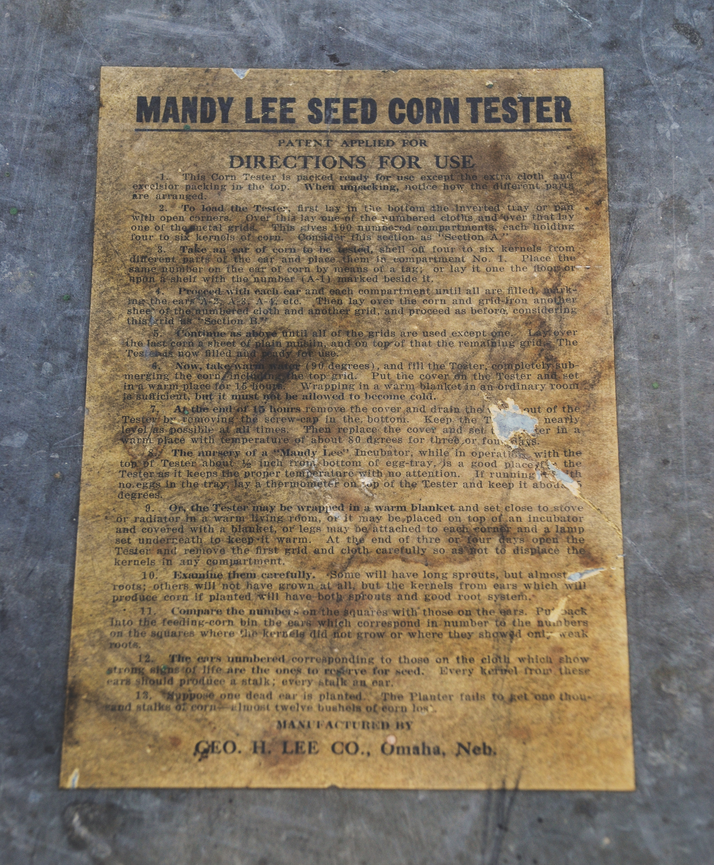 CICA-MandyLeeSeedCornTester.jpg