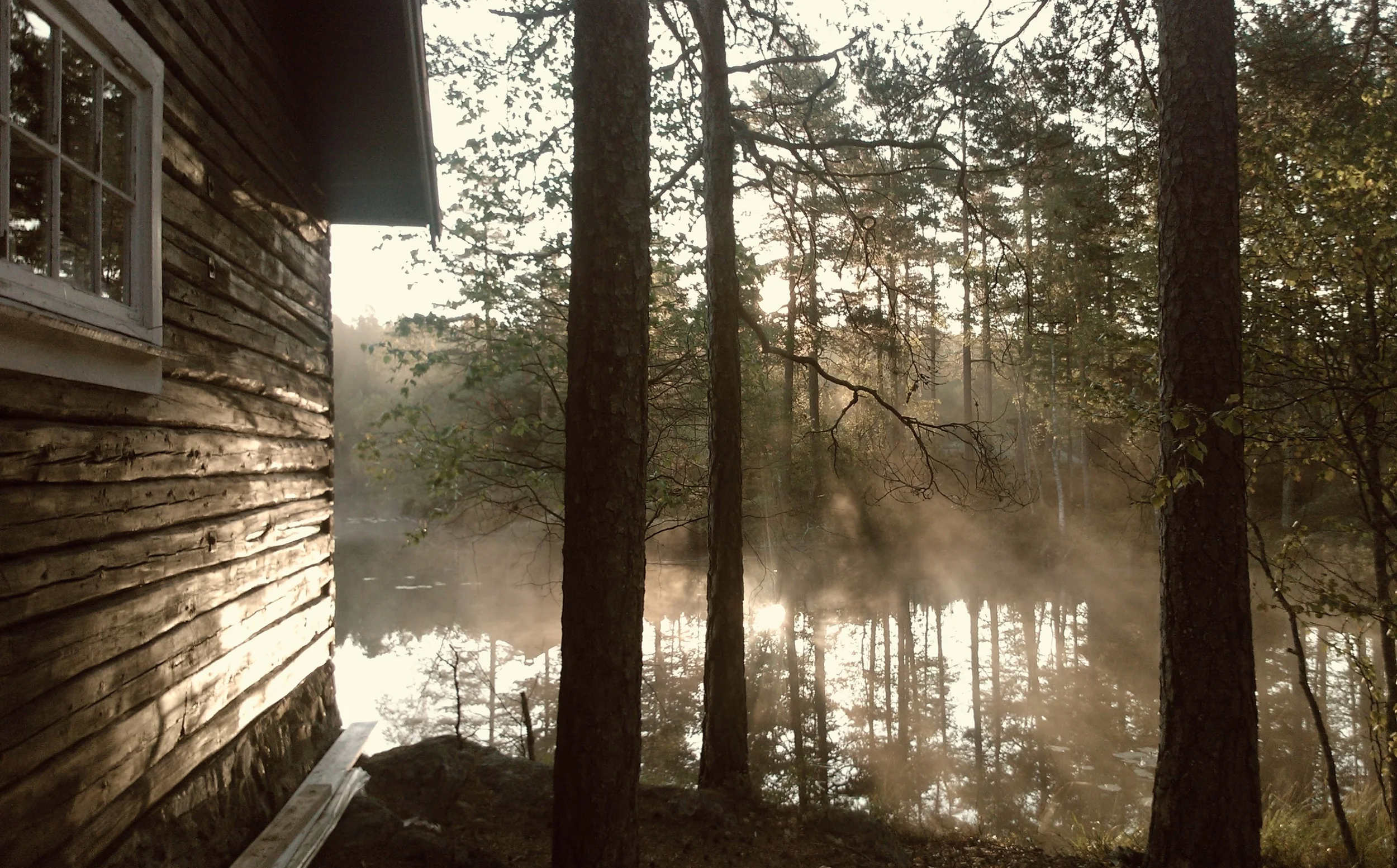 photo-1430000589629-f04107b5597c.jpeg