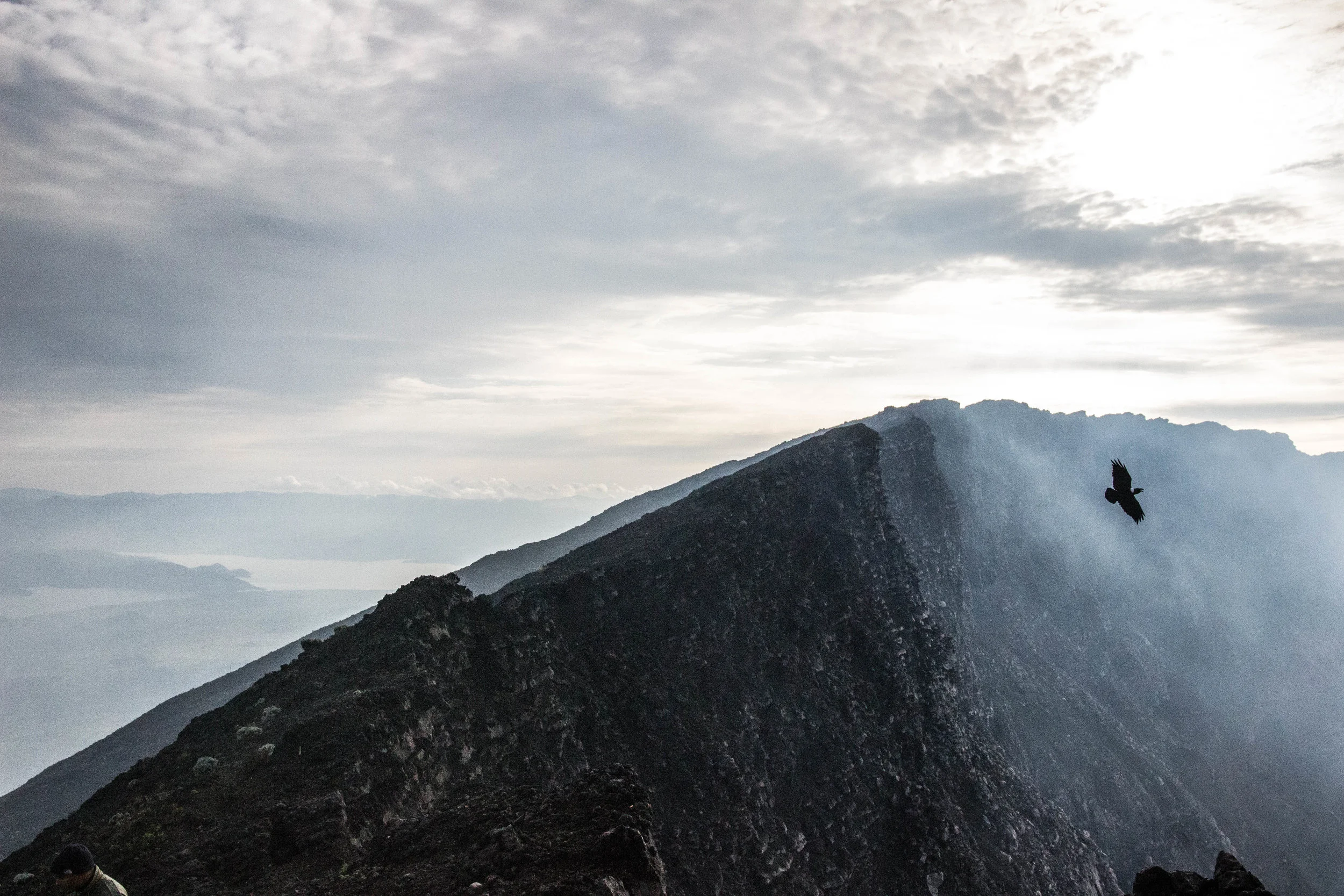 A raven flies over the Nyiragongo crater