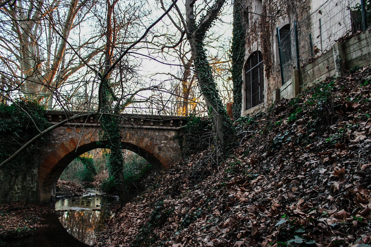 Le THOLONET