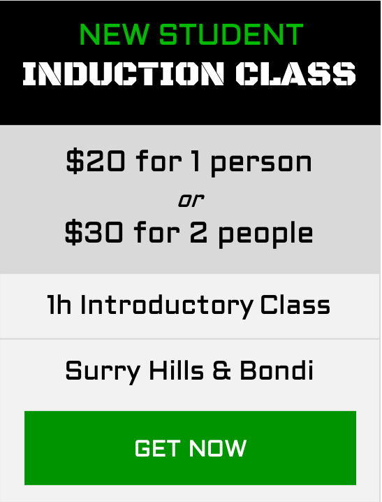 Membership-Induction.png