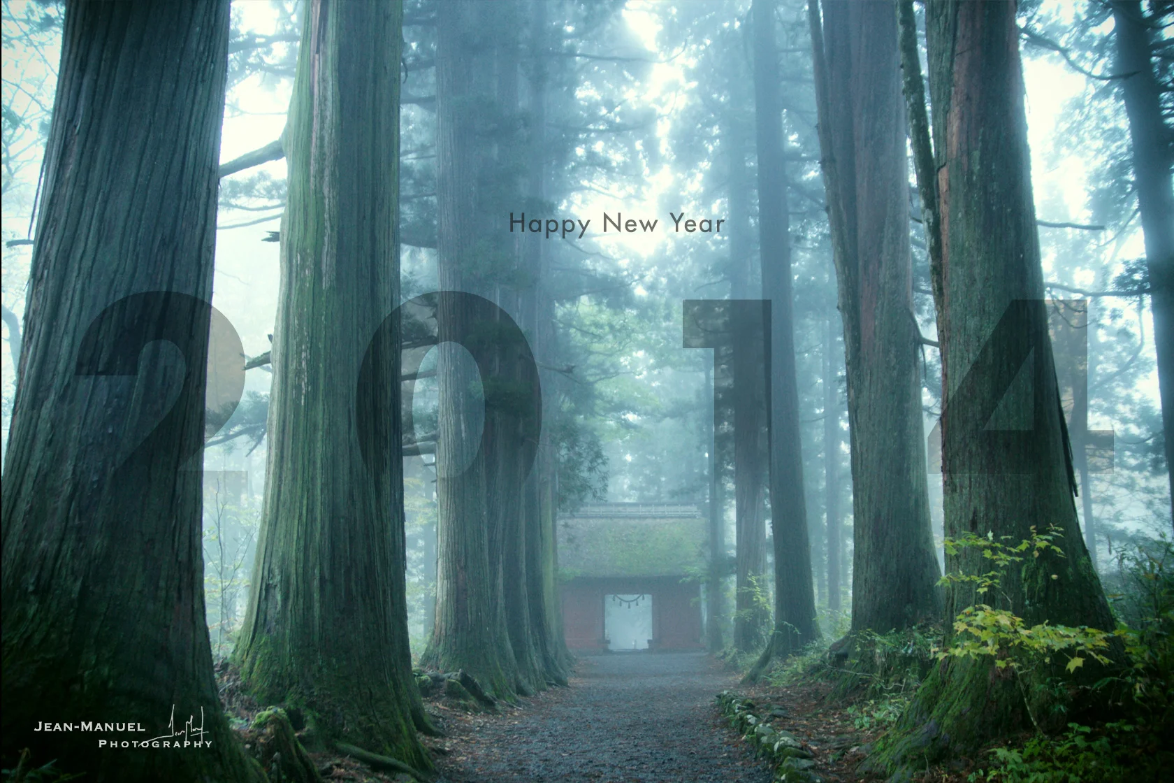 A year of the unexpected