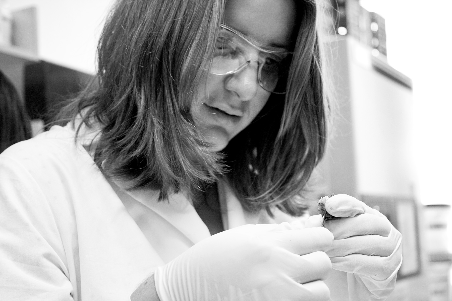 Vanessa harvests brain tissue from the specimen.