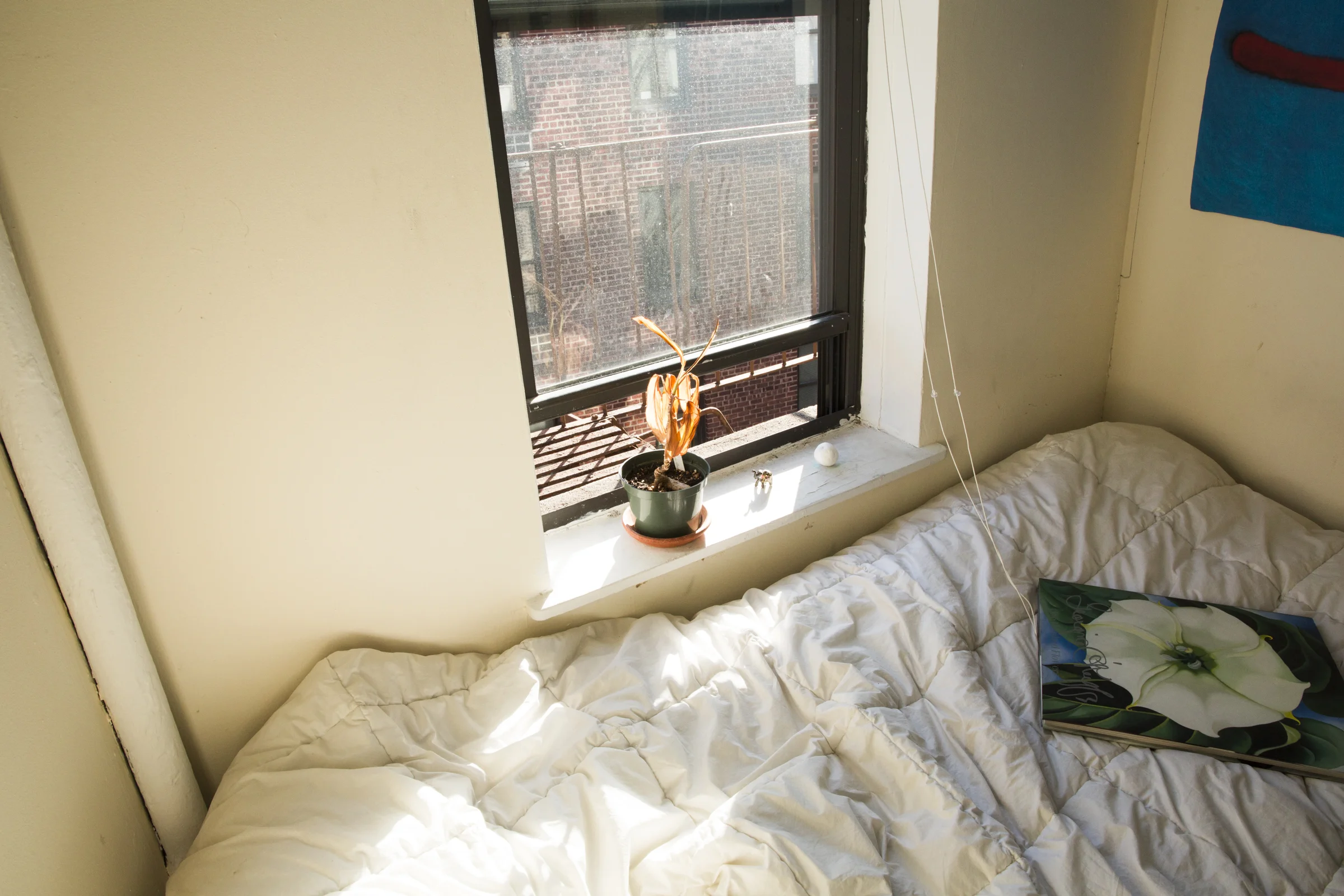  Aaron’s room in the afternoon sunlight. 