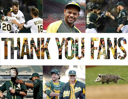 Thank You Fans