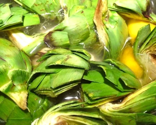 artichoke2.jpg