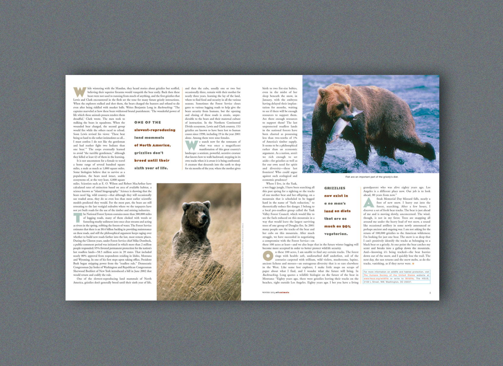 All Animals Magazine — KATE PARISI