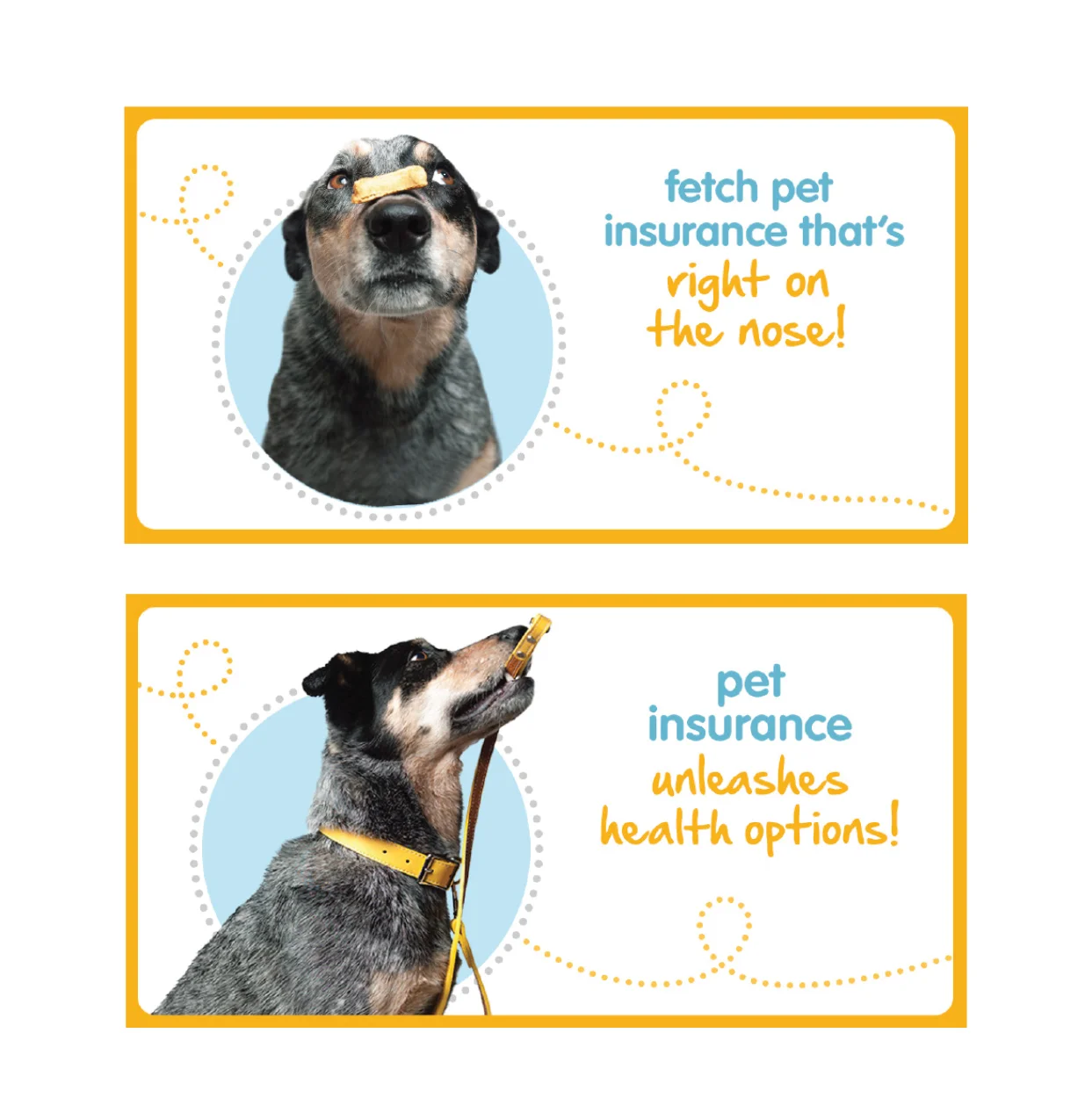 Petplan.jpg