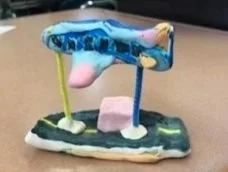 Selected Student Work, 4th Grade-- PS/IS 206