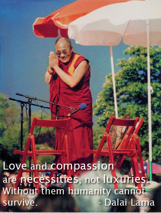 Dalai Lama UN Human Rights conference Vienna 1993 with quote.jpg