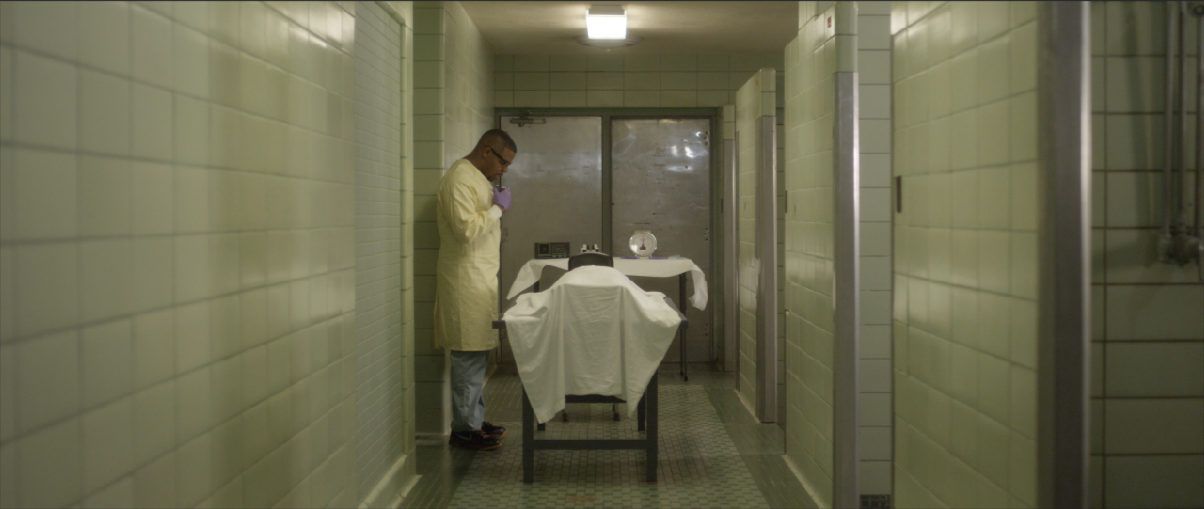 Screen Shot 2018-01-26 at 3.43.33 PM.png