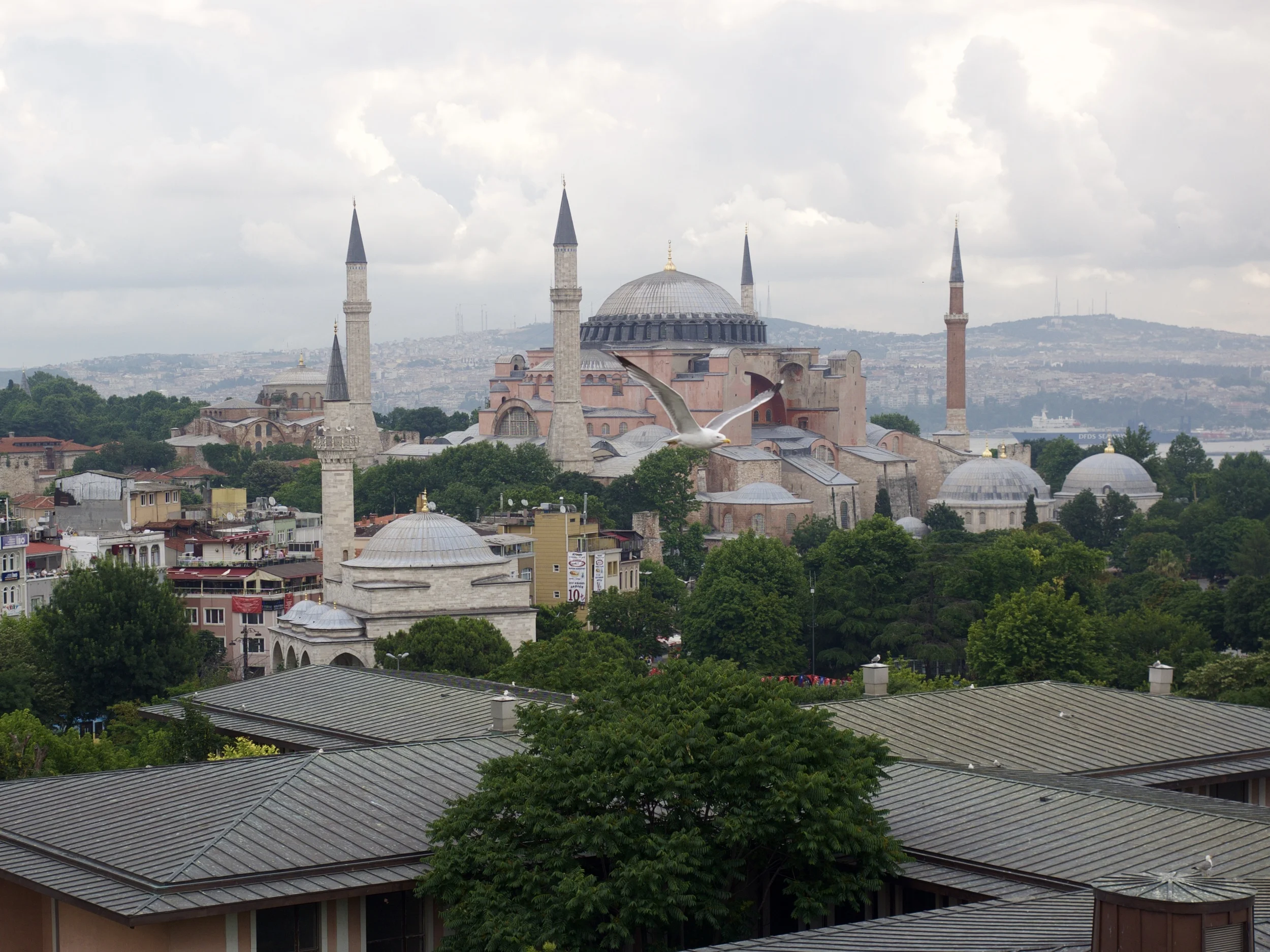P6231512.jpg