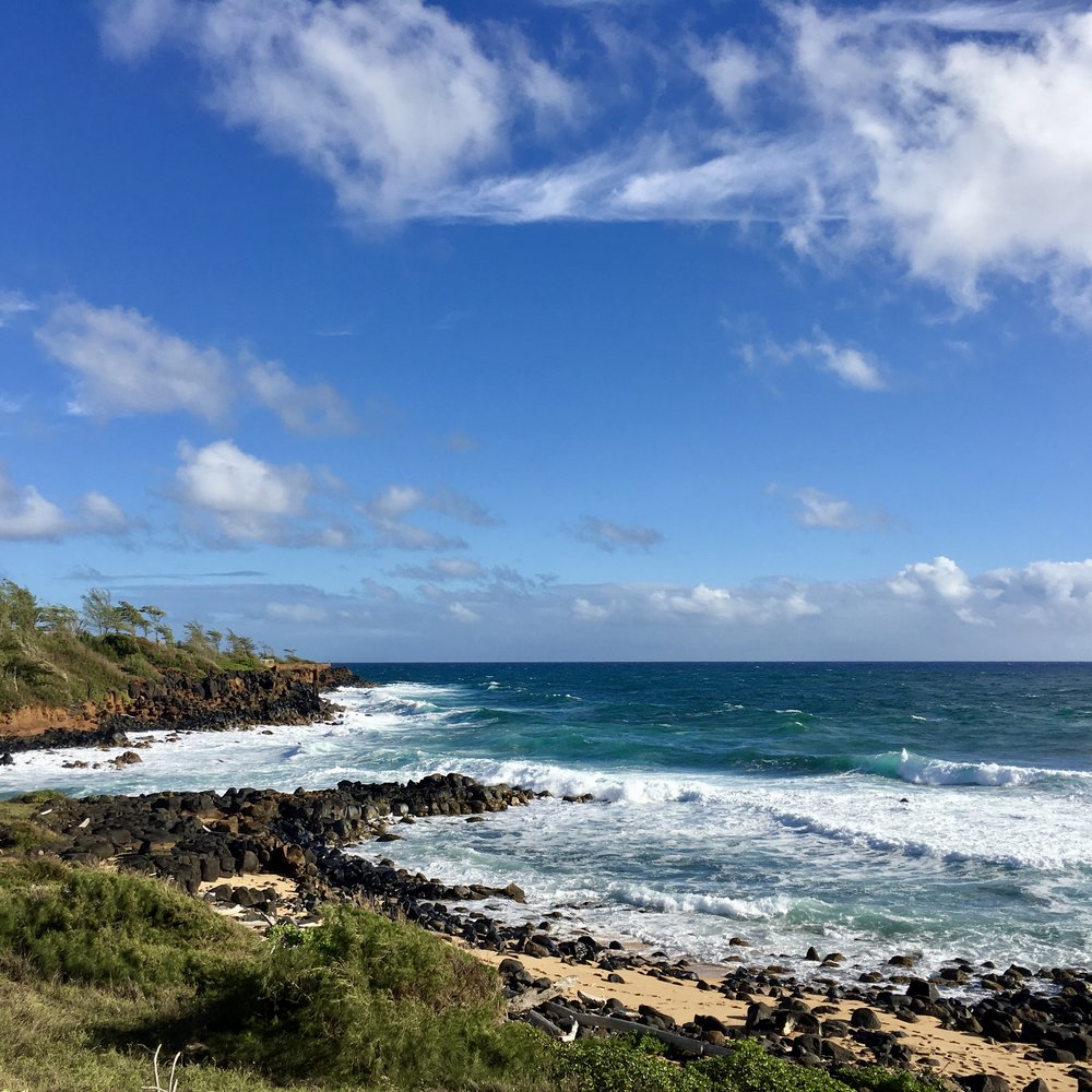 Biking along the Kauai path