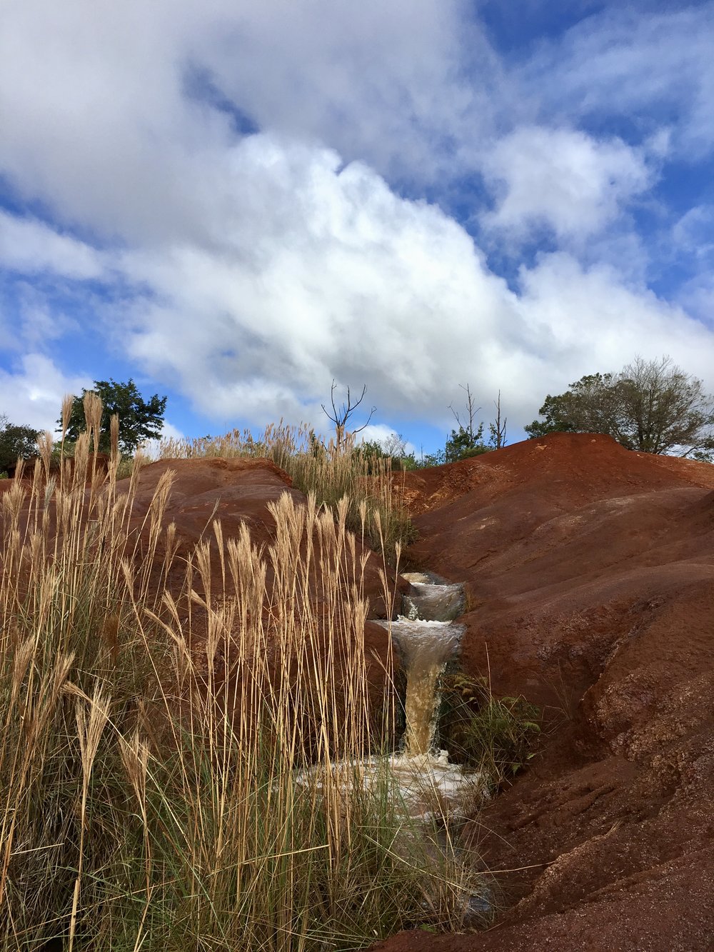 Wiamea State Park