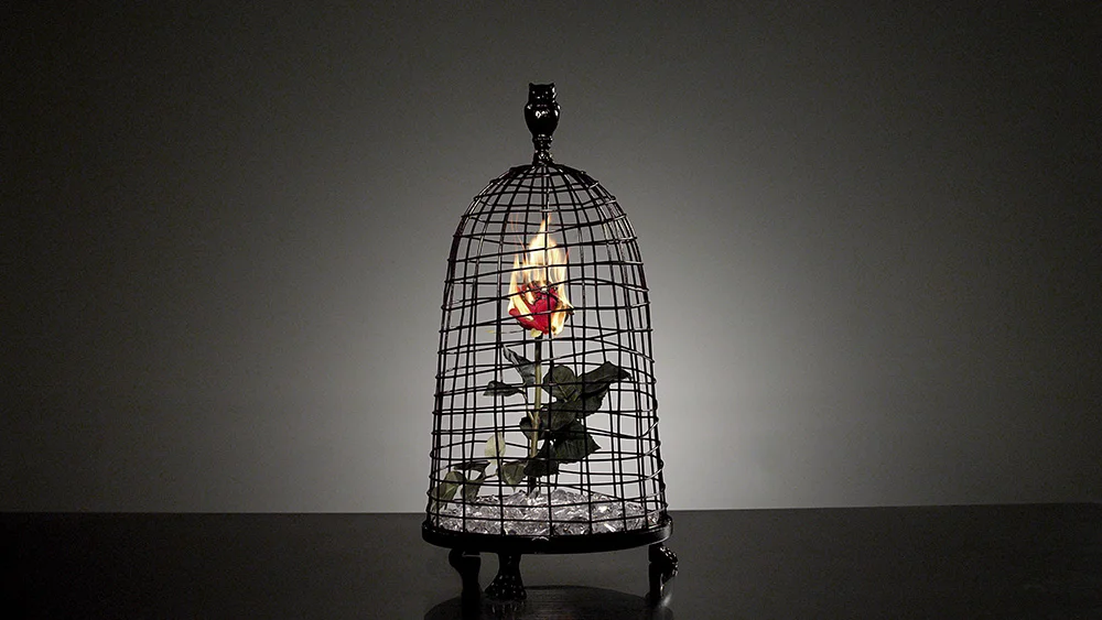 The burning rose was also a symbol for enticing the "other side". The spontaneous combustion represented the spontaneous rebellion we are all entitled to every now and again.
