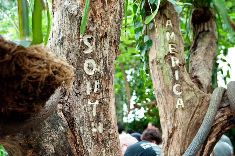Zoo04