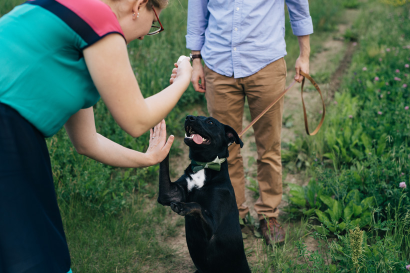 Aliza and Dan Engagement | Des Moines Wedding Photographer Brian Davis