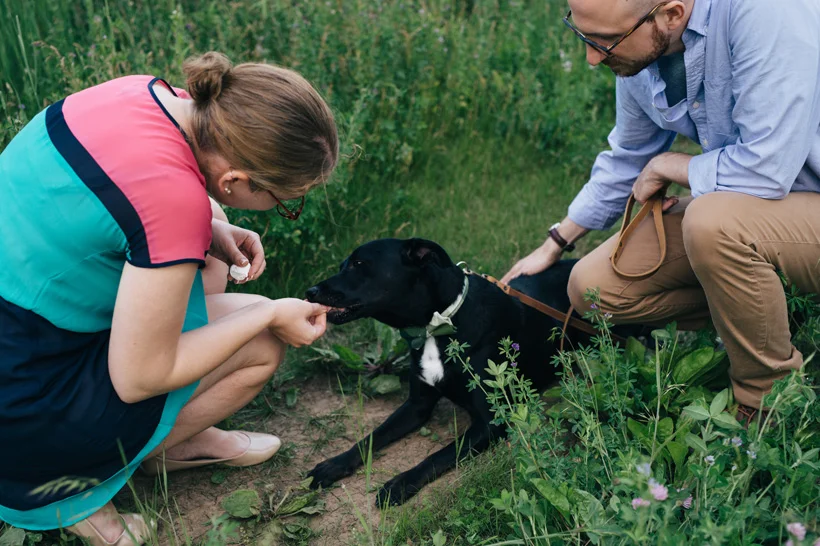 Aliza and Dan Engagement | Des Moines Wedding Photographer Brian Davis