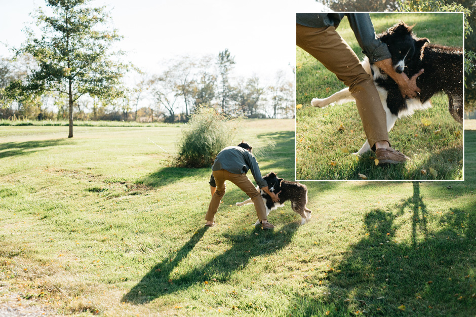 An energetic dog gets a little excited and gives her owner a playful little dog bite during the engagement
