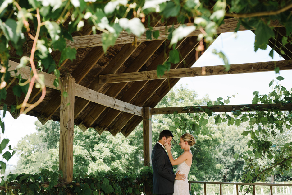 Emily and Josh Summerset Winery Wedding | Iowa Wedding Photographer Brian Davis