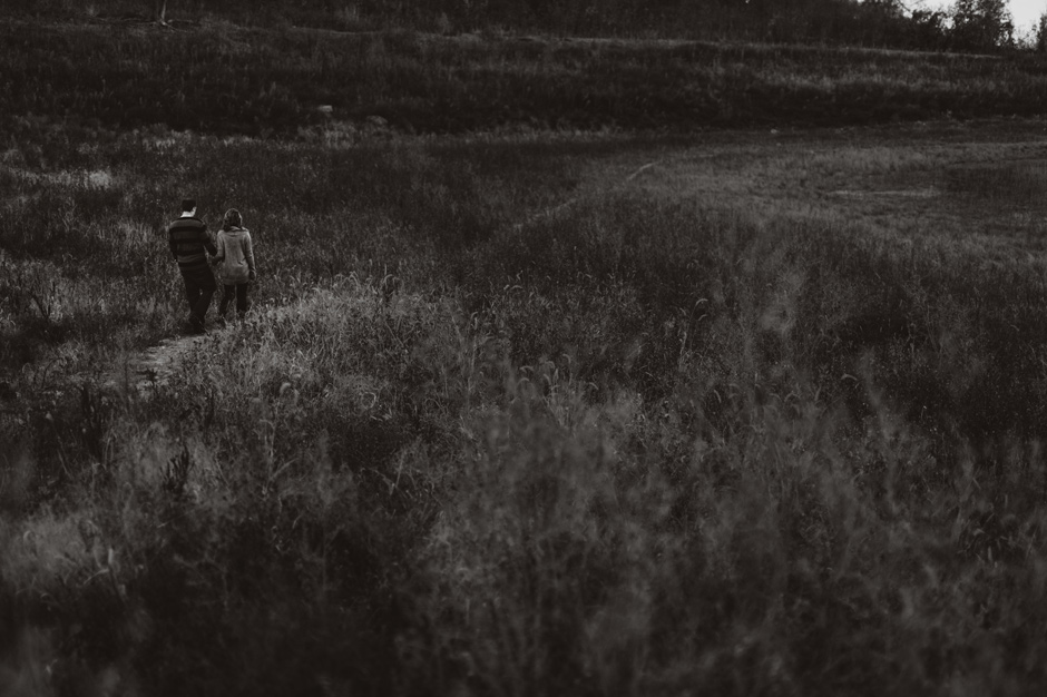 taylor and chris engagement | des moines wedding photographer brian davis