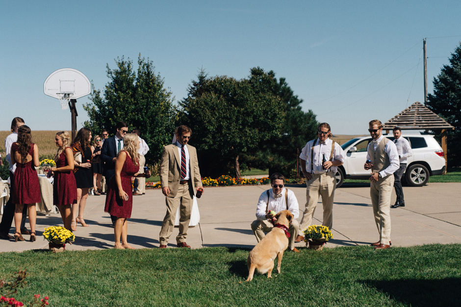 Paige and Andrew | Carroll Wedding