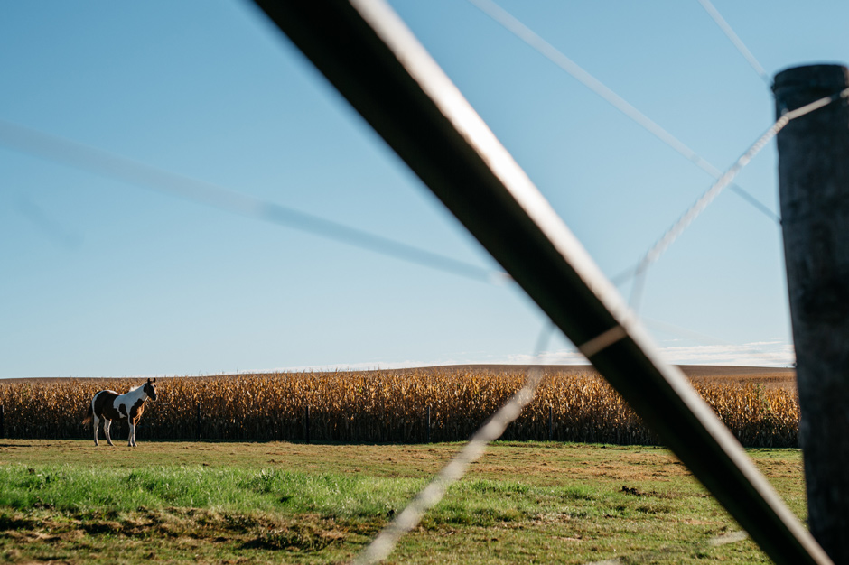Ashley and Chad Maquoketa Iowa Wedding