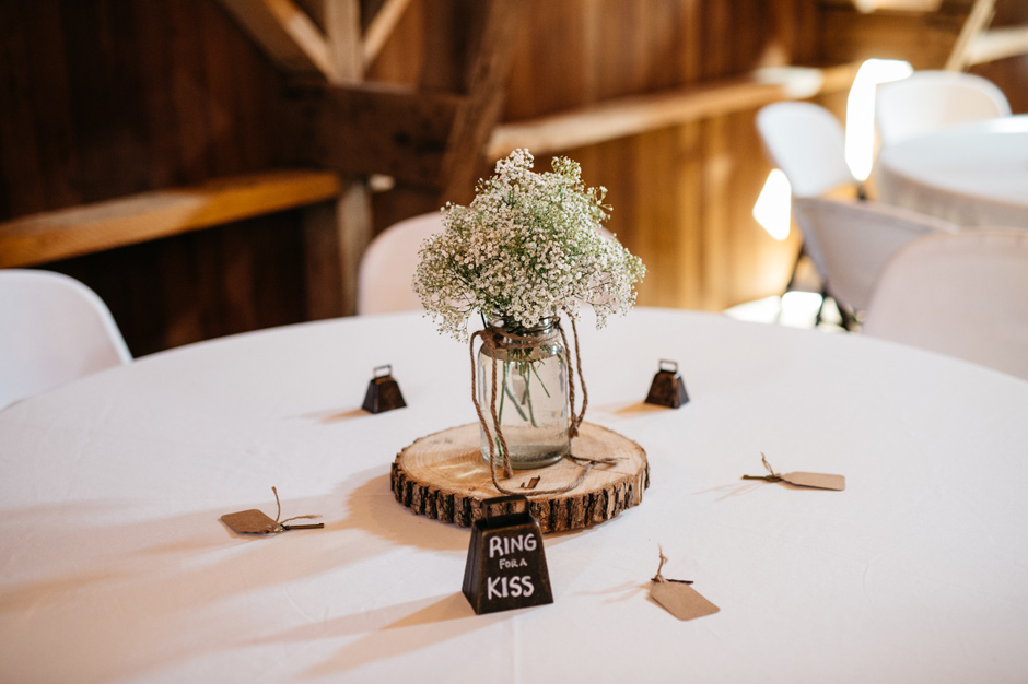 Ashley and Chad Maquoketa Iowa Wedding