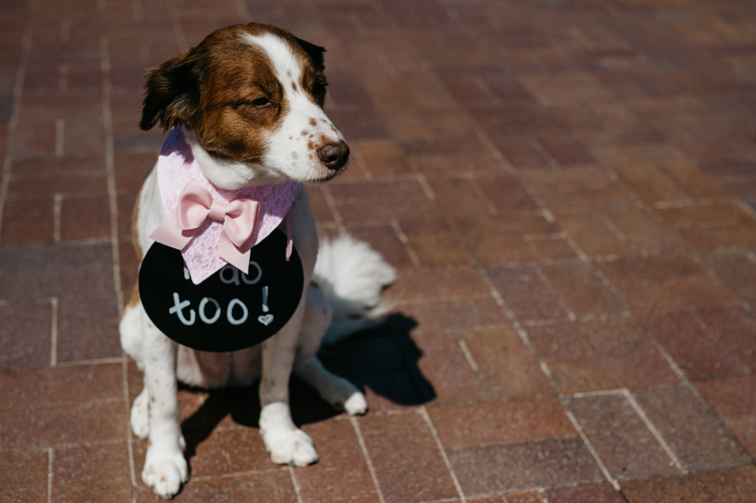 2016weddings032.jpg