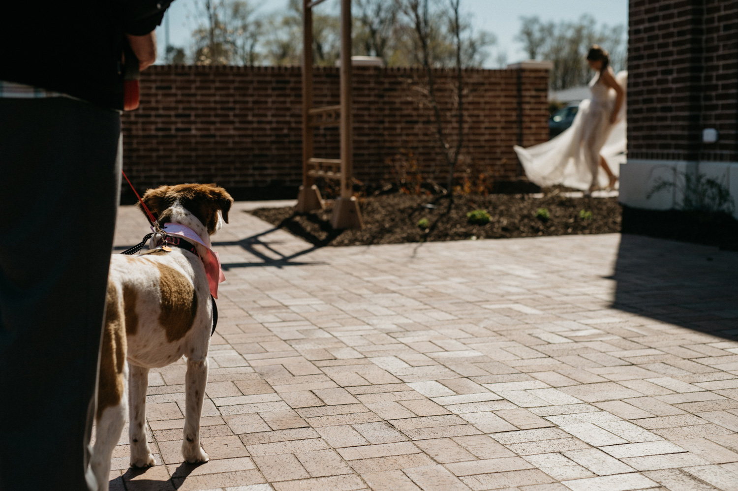 2016weddings056.jpg