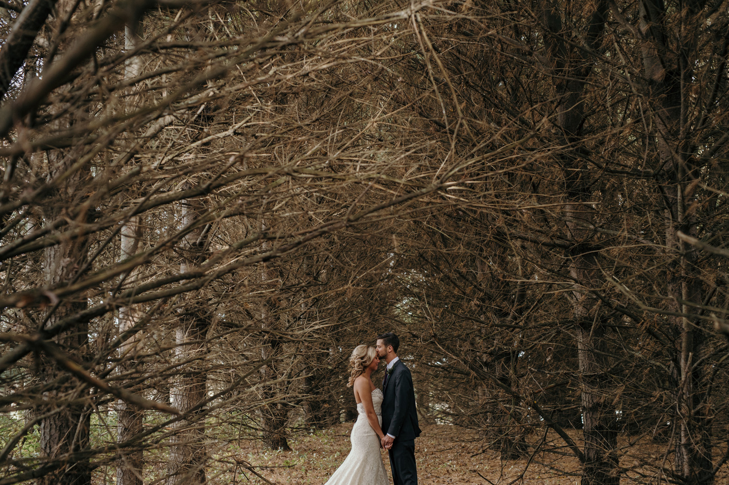 2016weddings364.jpg