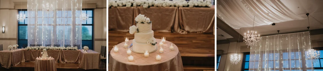 Justin and Indira's Noah's Event Center Wedding in Waukee Iowa |