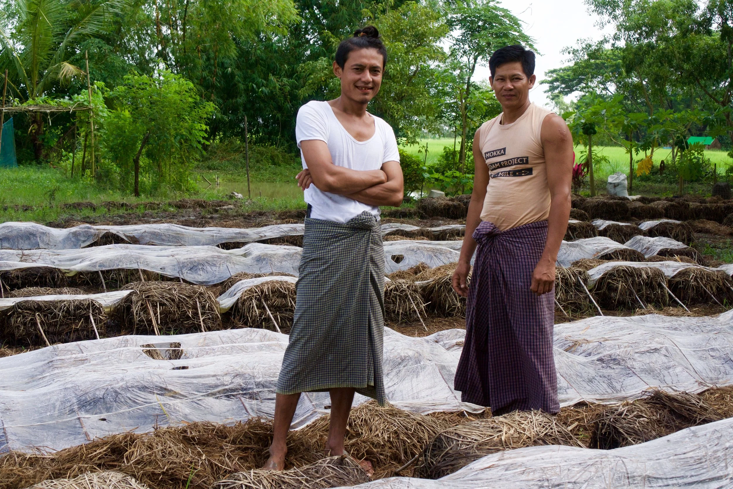 Ko Zin Min Htun (Paddy farmer) -