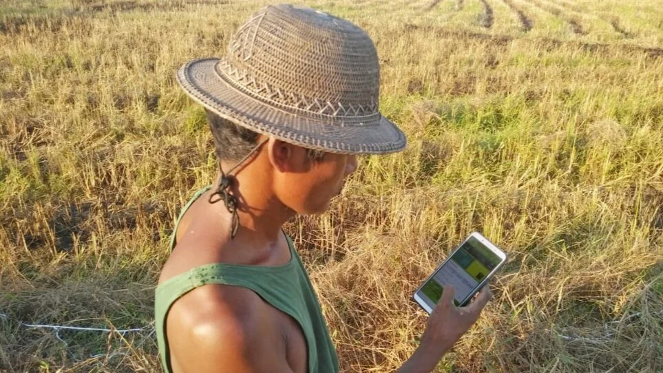 Reach+Farmers.jpg