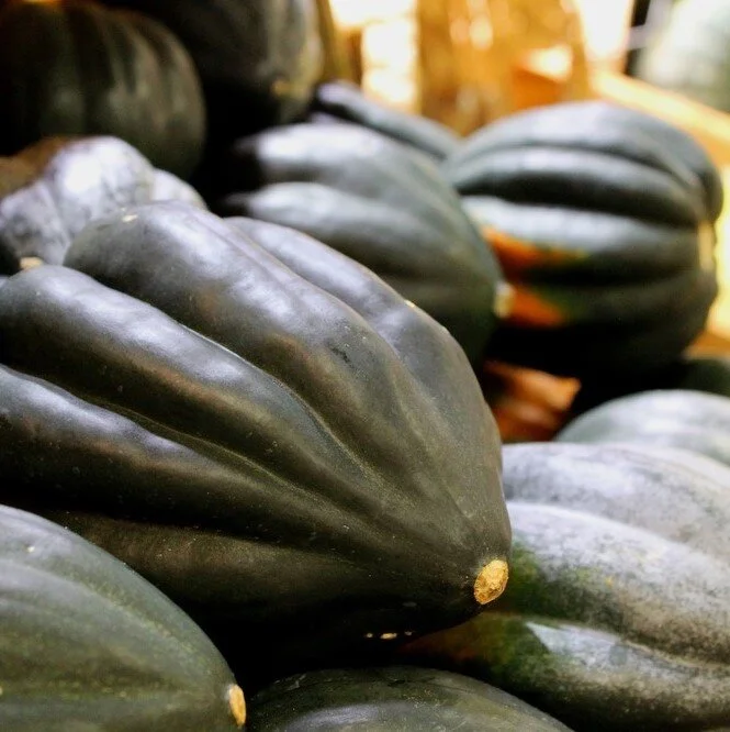 acorn-squash square.jpg