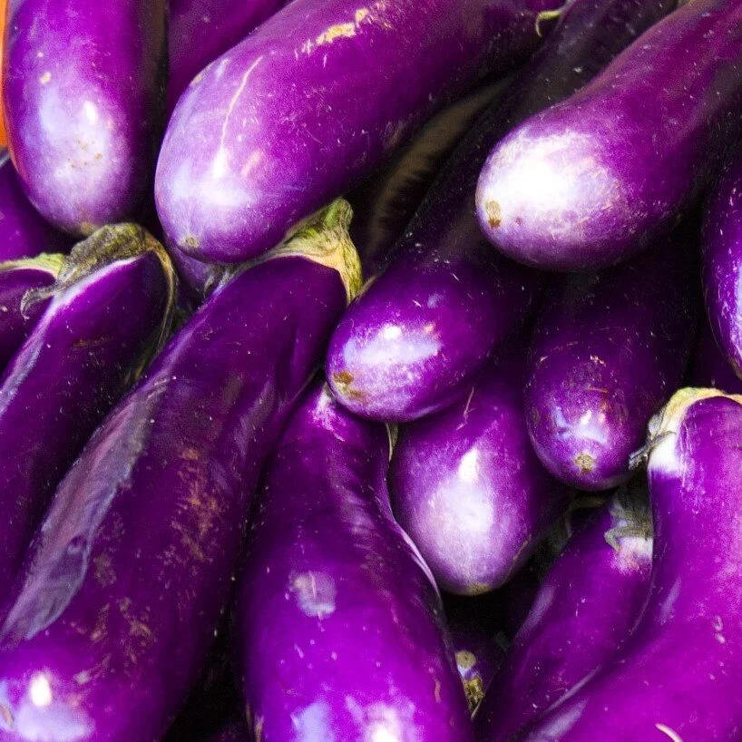 eggplant orient express square.jpg