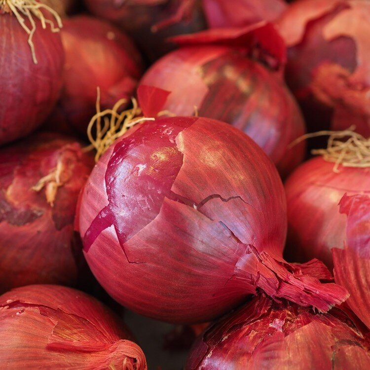 onions_red square.jpg