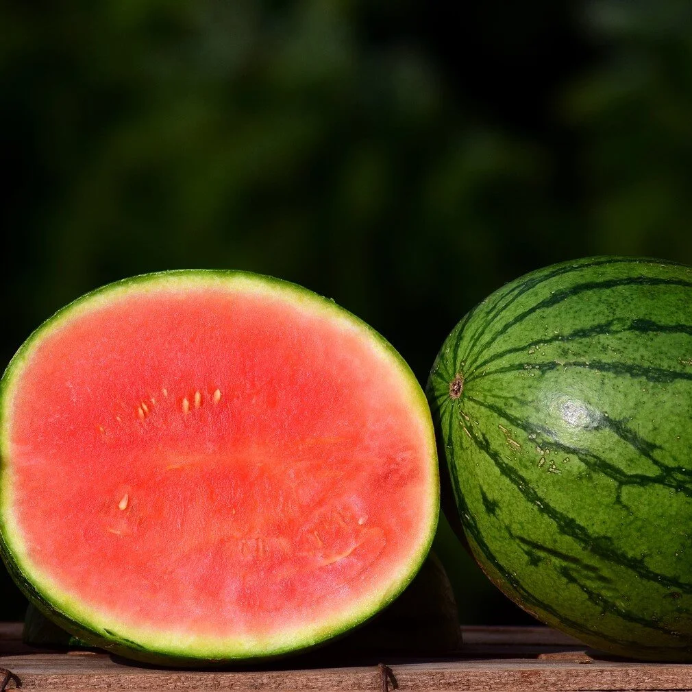 melon-2691415_1920 square.jpg