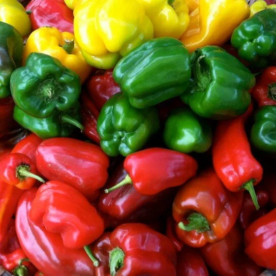 peppers_ace square.jpg