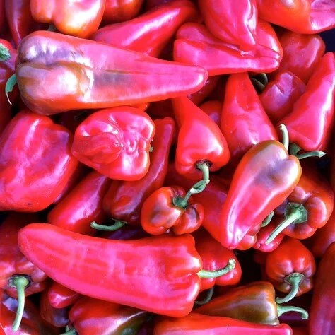 peppers_carmen square.jpg
